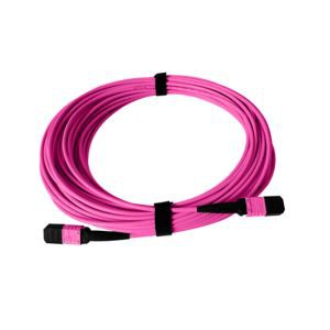 Патч Корд MTP 12 Волокна OM4 MMF ТипБ ЛСЗ 3ft